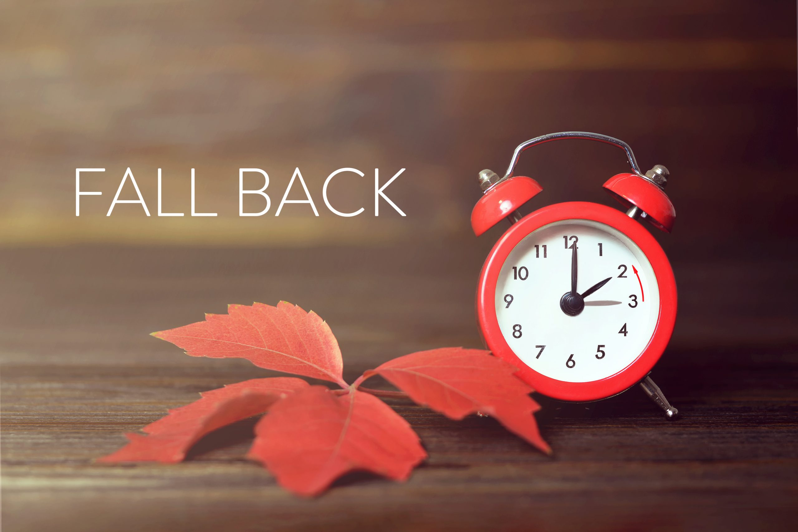 Fall Back! The Clocks Are Turning Back BCD